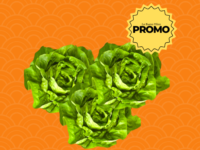 PROMO LECHUGA MANTECA x3u