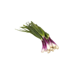 CEBOLLITA DE VERDEO