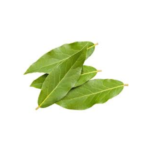 LAUREL