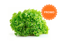 LECHUGA CRESPA