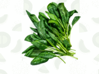 ESPINACA