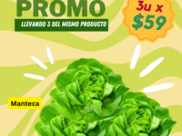 Promo Lechuga Manteca