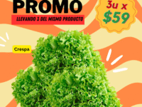 Promo Lechuga Crespa