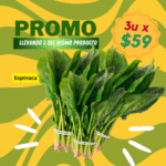 Promo Espinaca