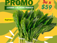 Promo Espinaca