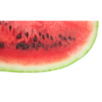 SANDIA
