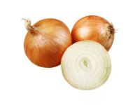 CEBOLLA BLANCA URUGUAYA