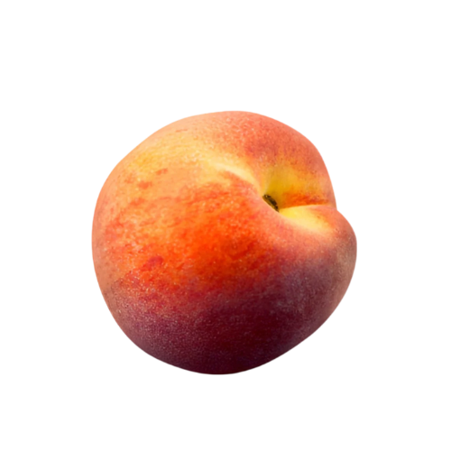 Untitled design (64)