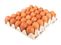 Maple de Huevo Grande