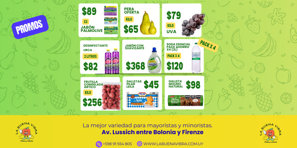 La Buena Vibra (Banner Landscape) (1)